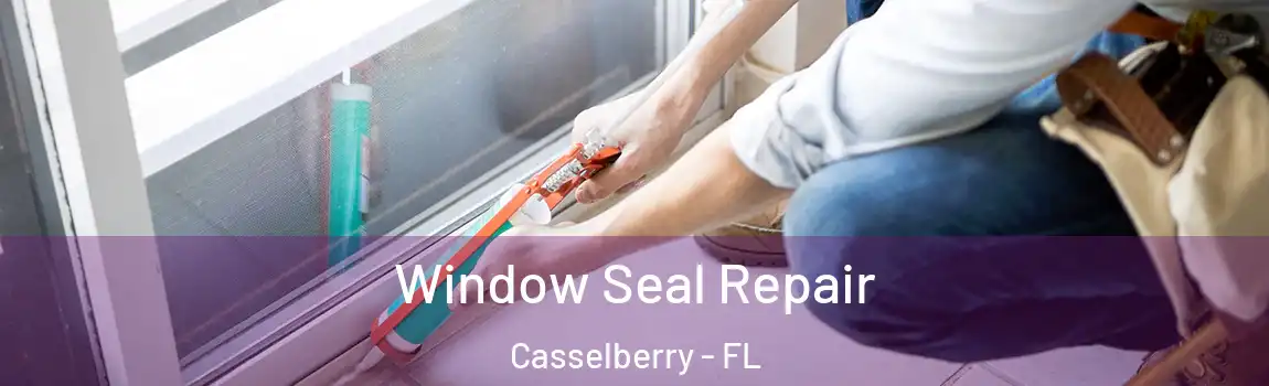 Window Seal Repair Casselberry - FL